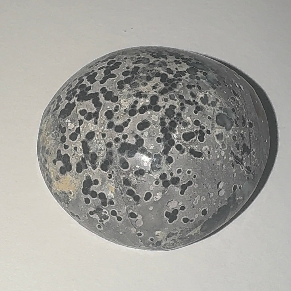 80ct Variscite bi valve pseudomorph