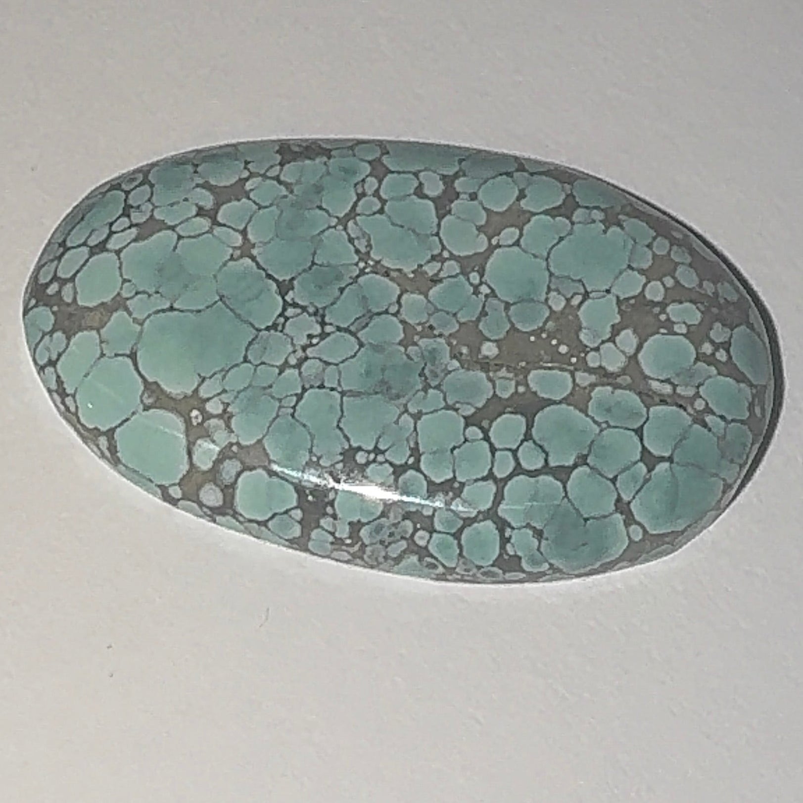 22ct Variscite bi valve pseudomorph