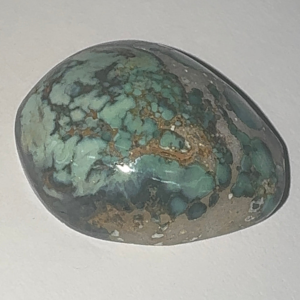 40ct Variscite bi valve pseudomorph