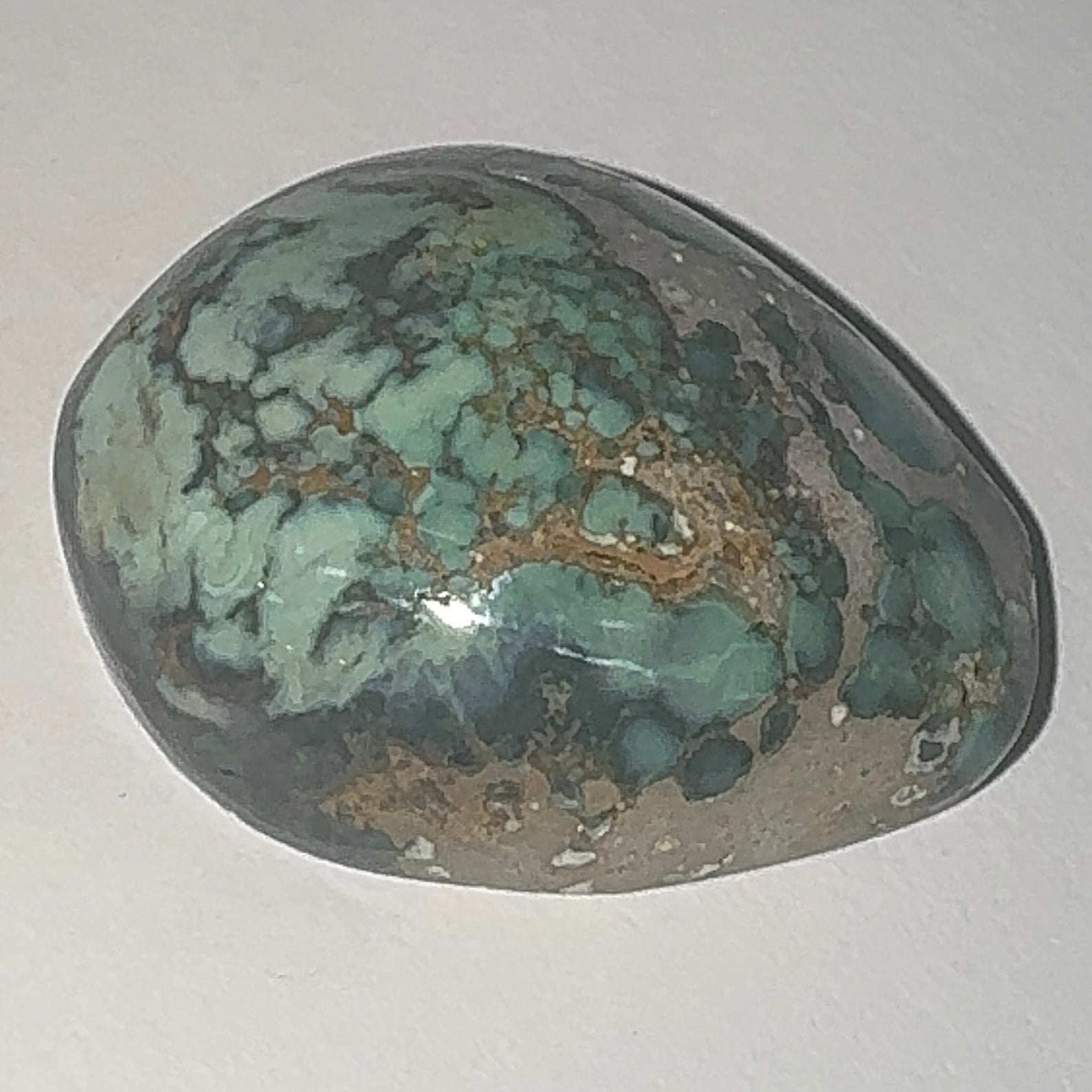 40ct Variscite bi valve pseudomorph