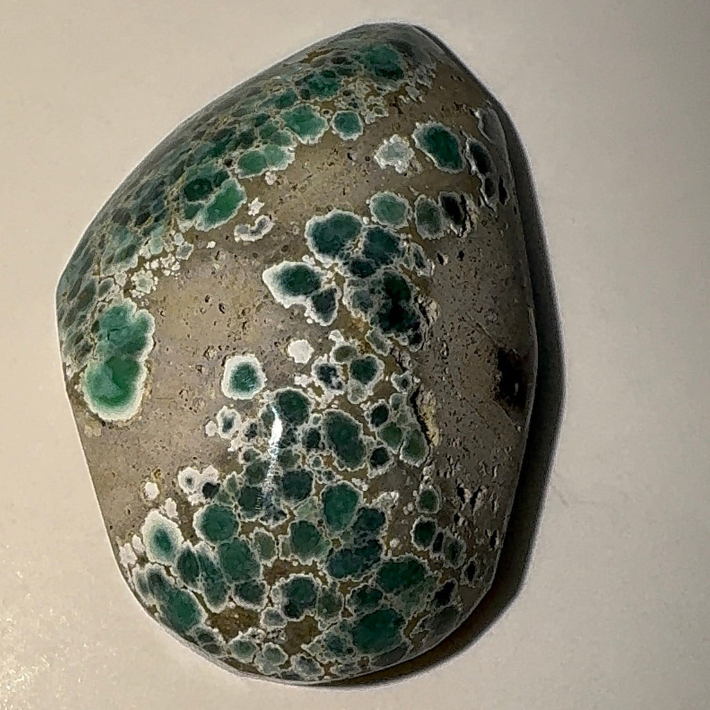 8ct Variscite bi valve pseudomorph