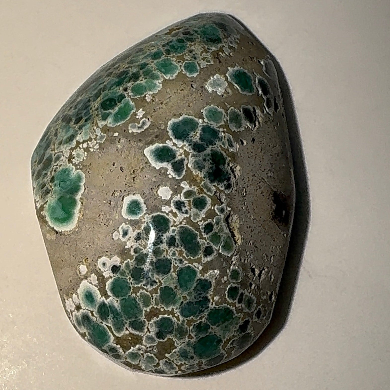 8ct Variscite bi valve pseudomorph