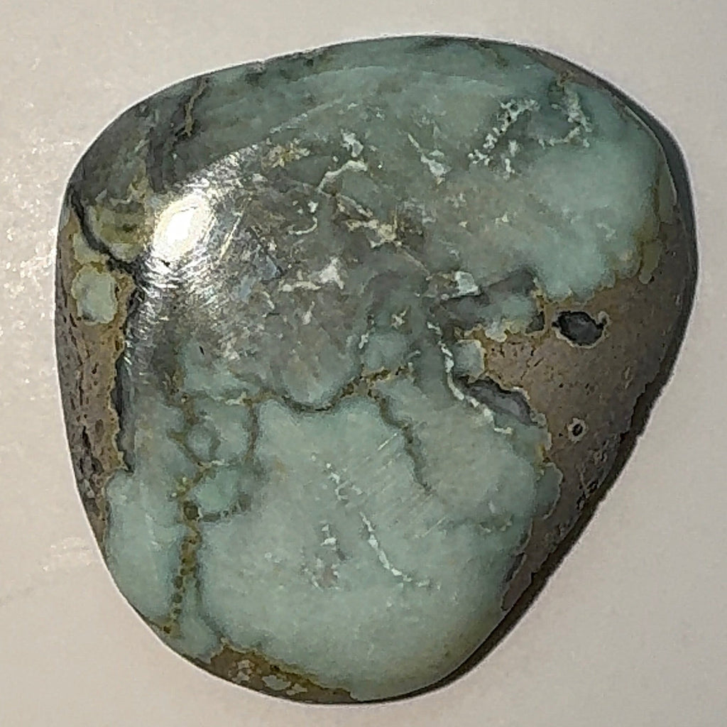 8ct Variscite bi valve pseudomorph