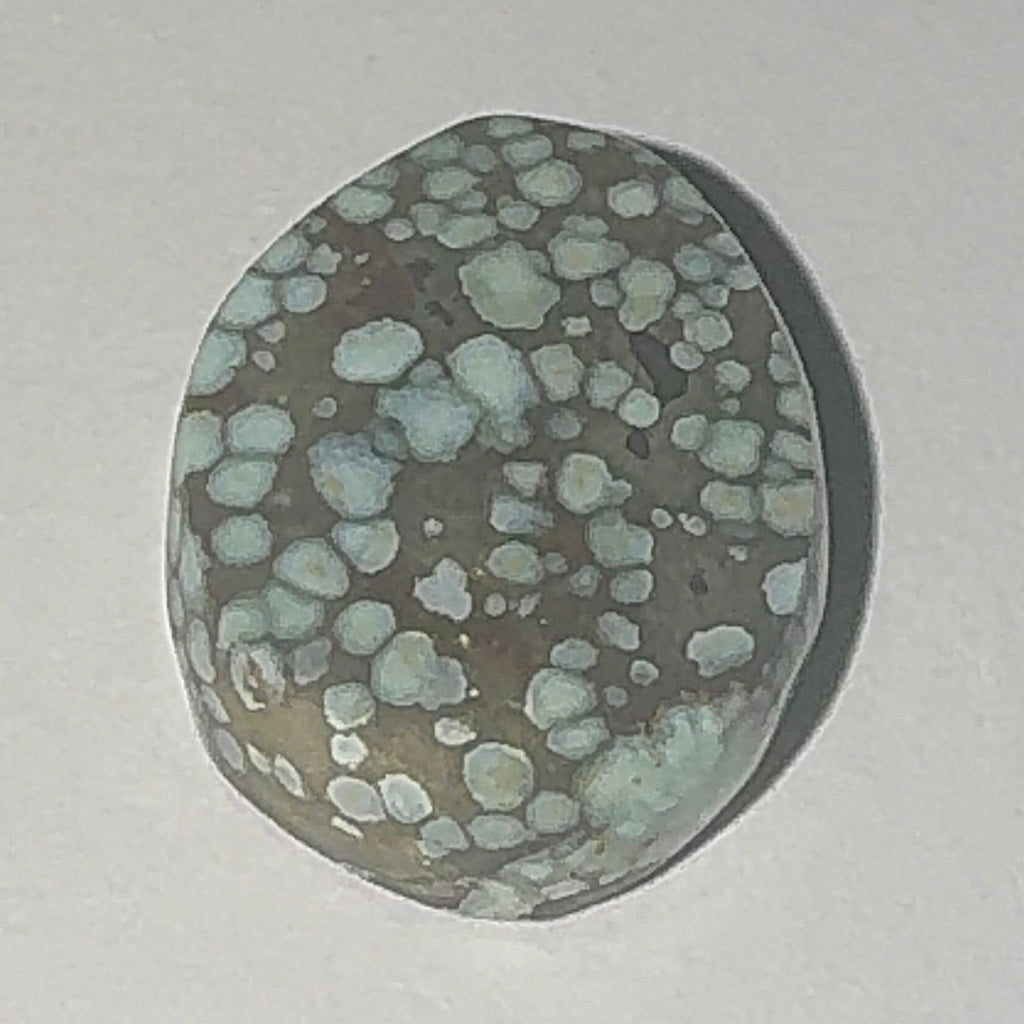 9ct Variscite bi valve pseudomorph