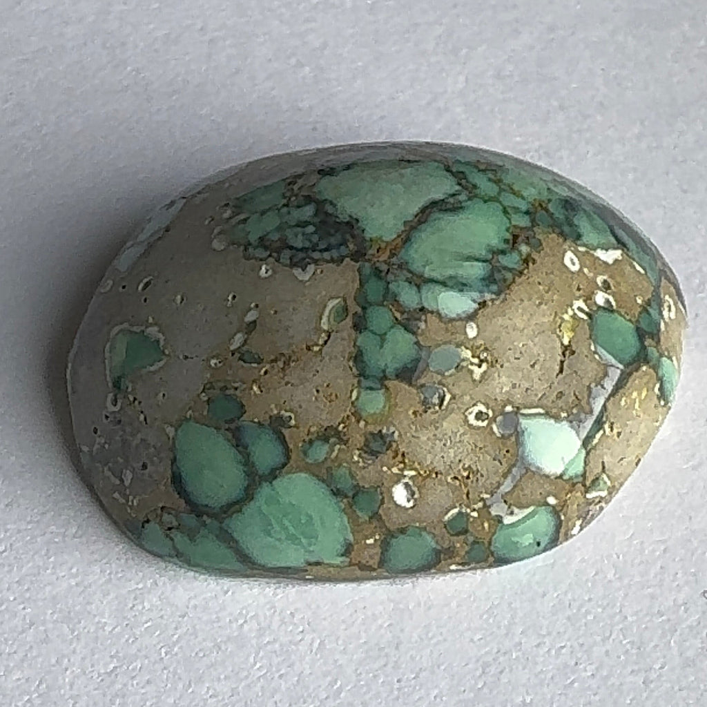 52ct Variscite bi valve pseudomorph
