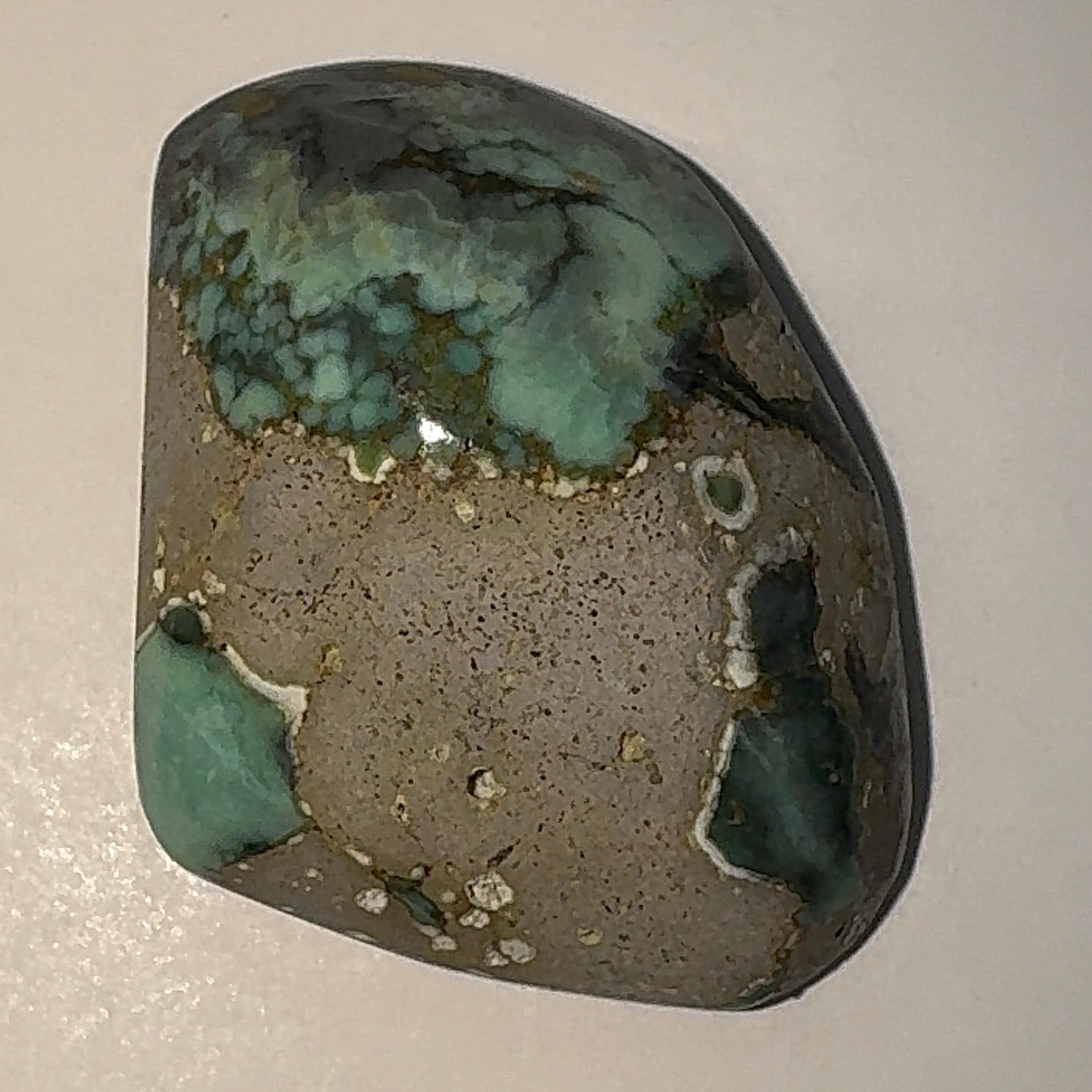 13ct Variscite bi valve pseudomorph