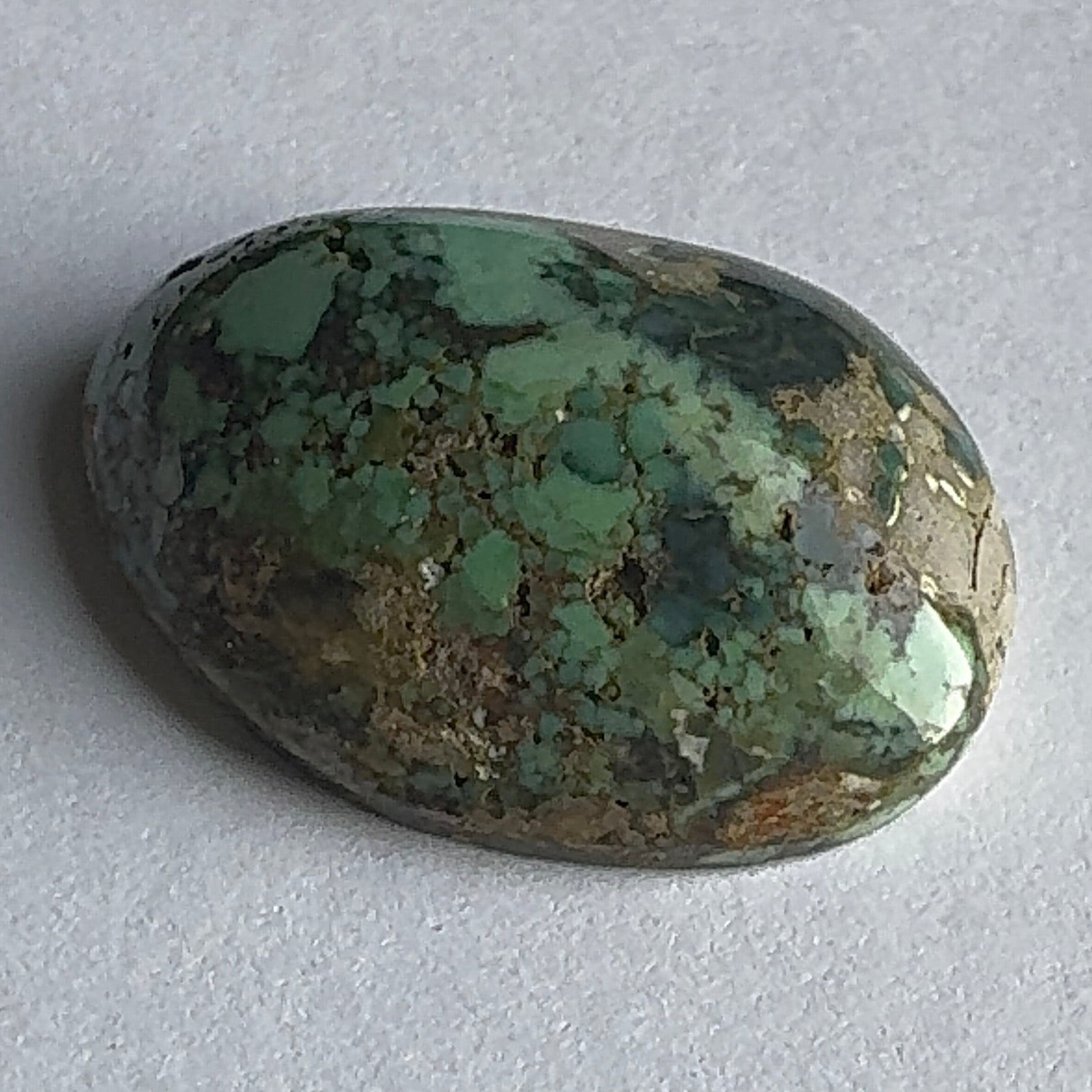 40ct Variscite bi valve pseudomorph