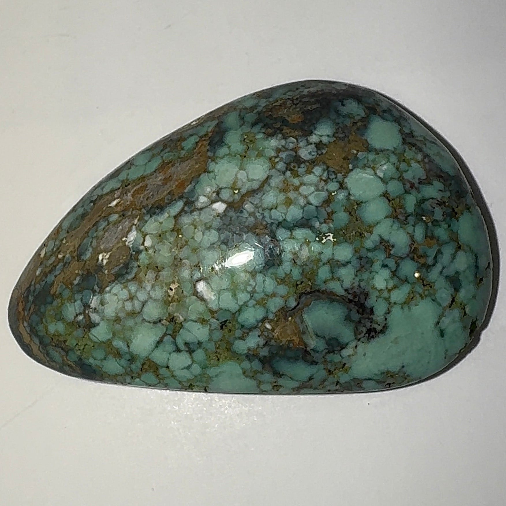 12ct Variscite bi valve pseudomorph