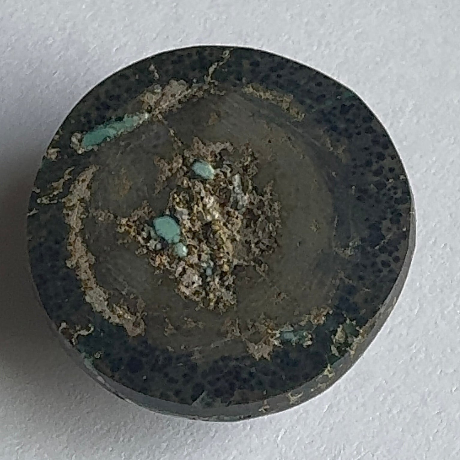 45ct Variscite bi valve pseudomorph