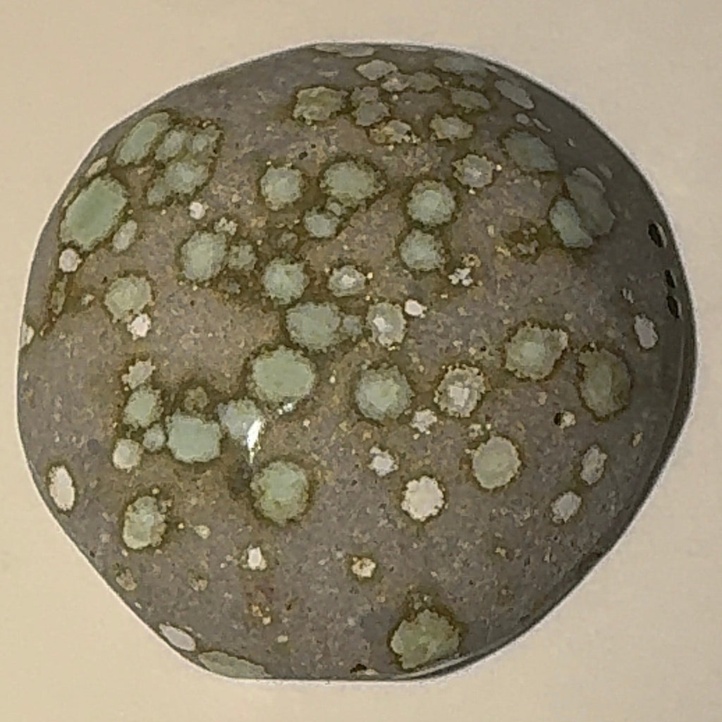 3ct Variscite bi valve pseudomorph