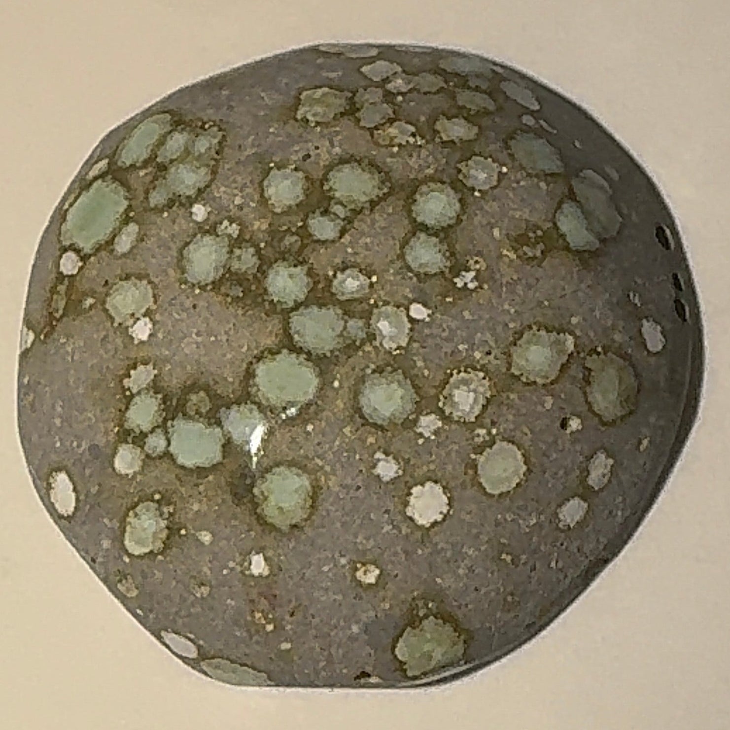 3ct Variscite bi valve pseudomorph