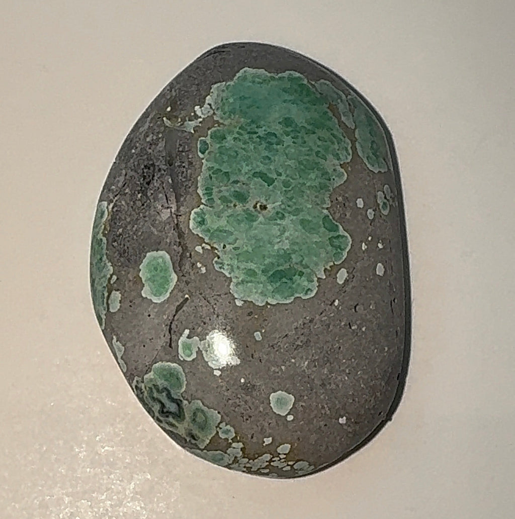 19ct Variscite bi valve pseudomorph