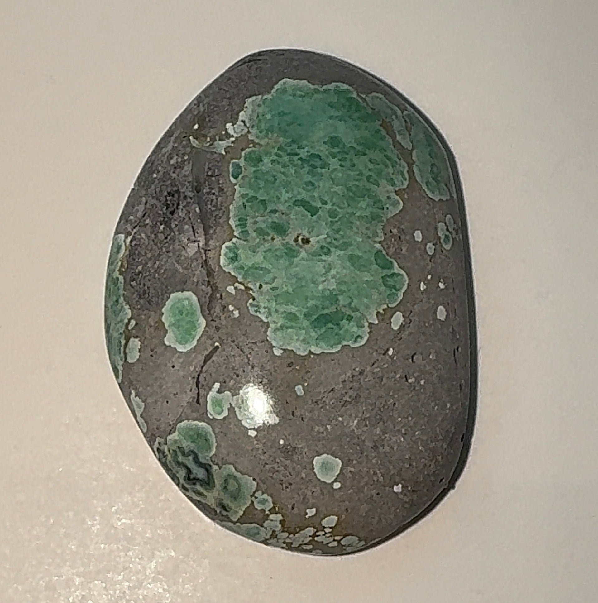 19ct Variscite bi valve pseudomorph