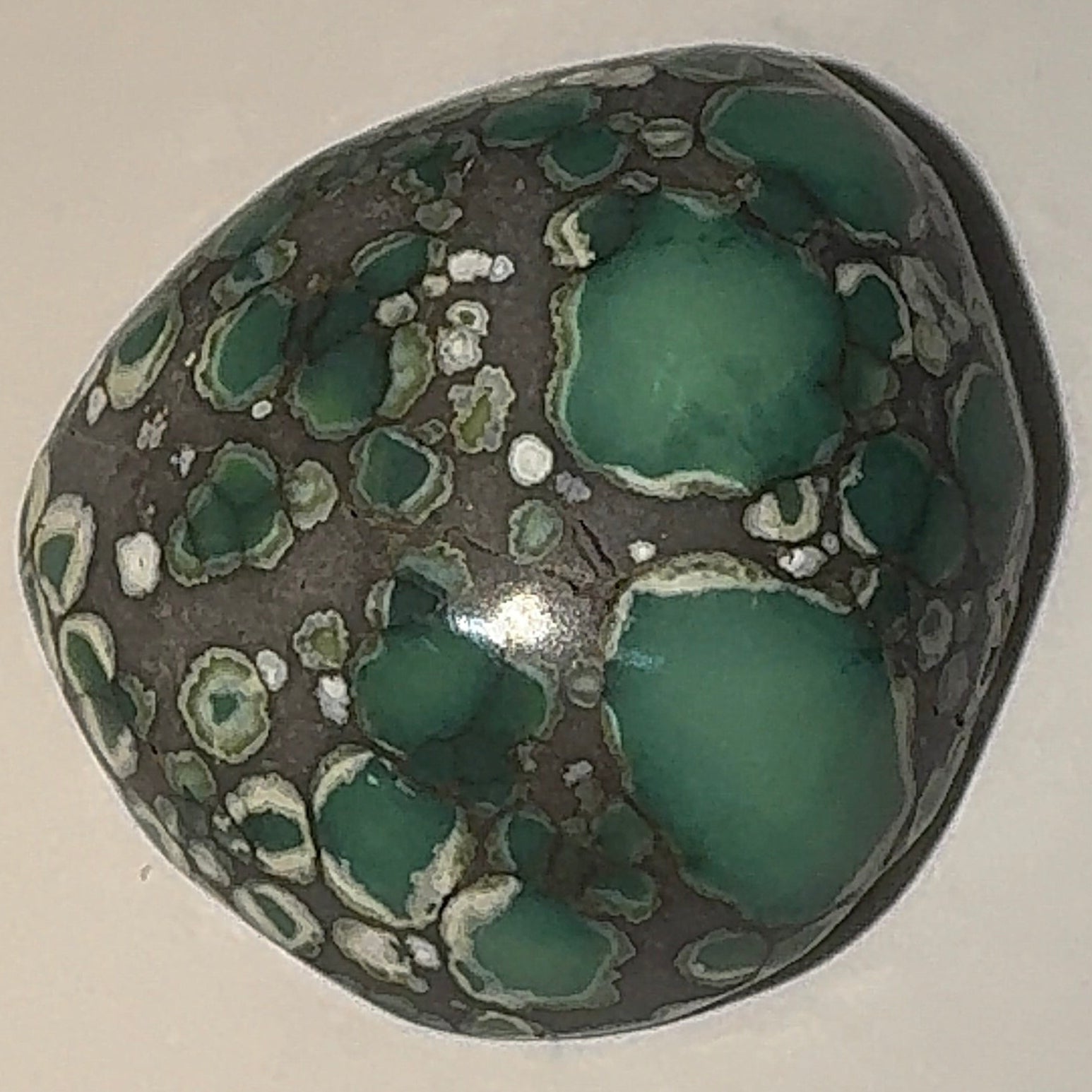 10ct Variscite bi valve pseudomorph