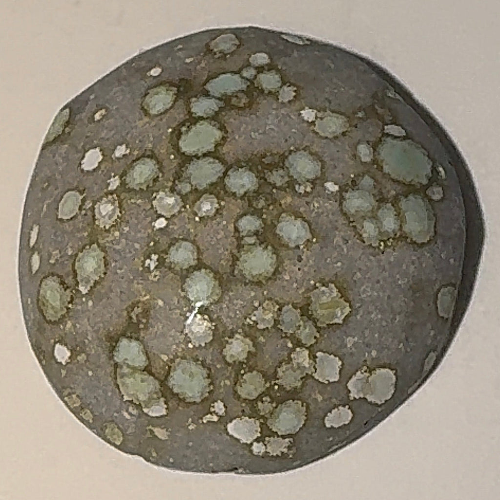 3ct Variscite bi valve pseudomorph