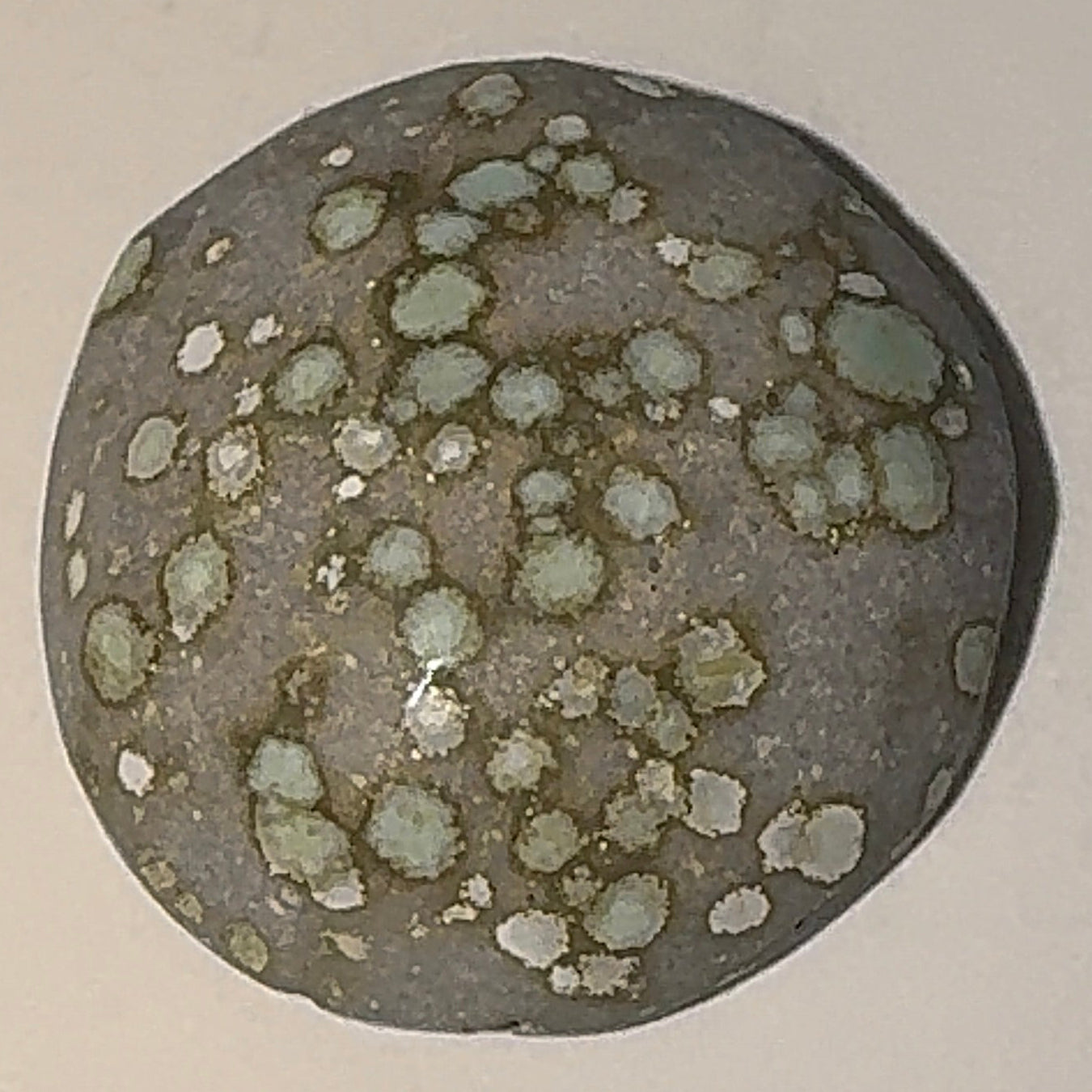 3ct Variscite bi valve pseudomorph