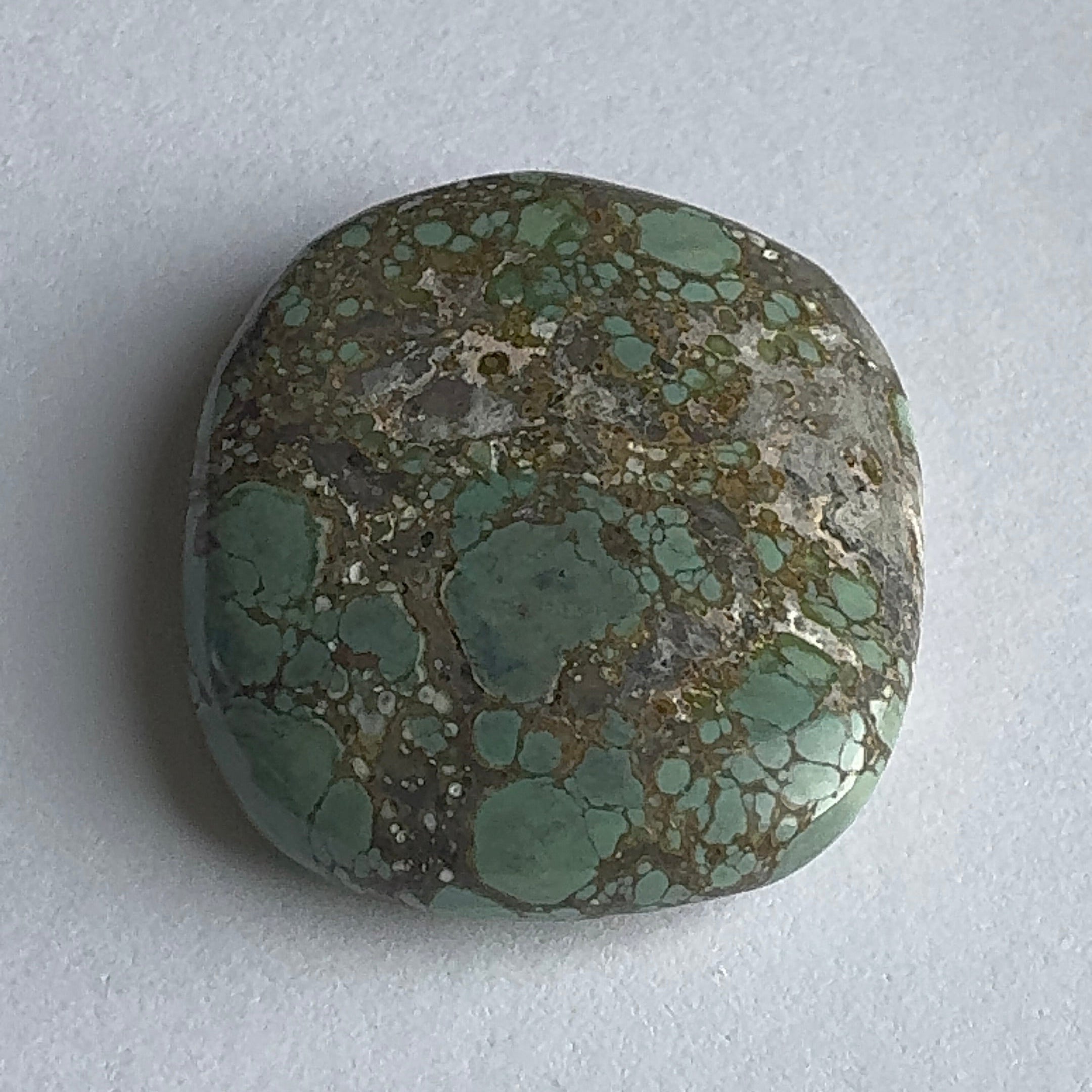 55ct Variscite bi valve pseudomorph