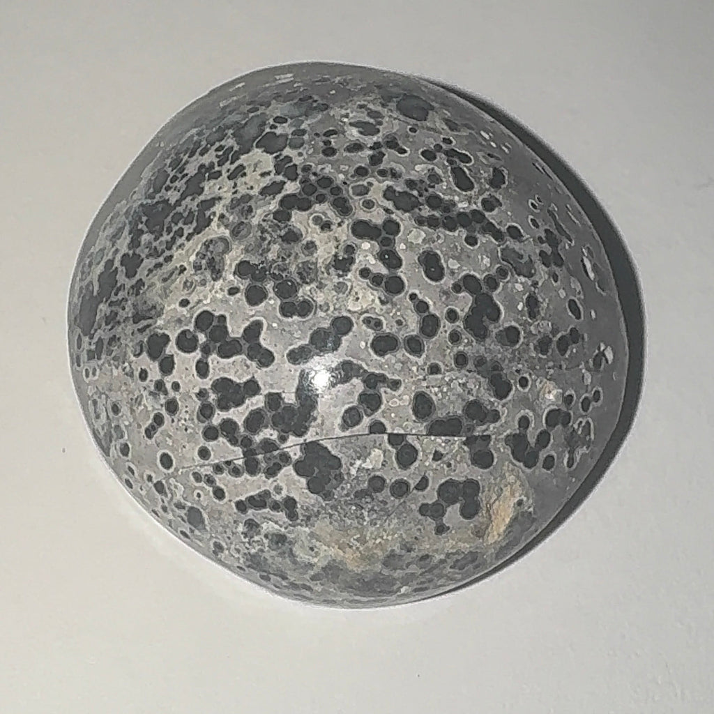 23ct Variscite bi valve pseudomorph