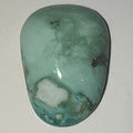 11ct Variscite bi valve pseudomorph