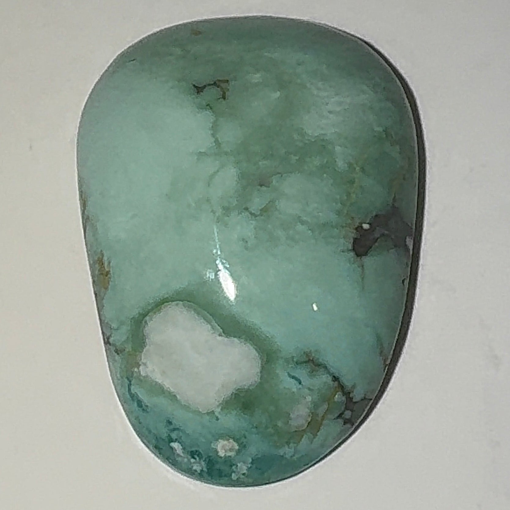 11ct Variscite bi valve pseudomorph