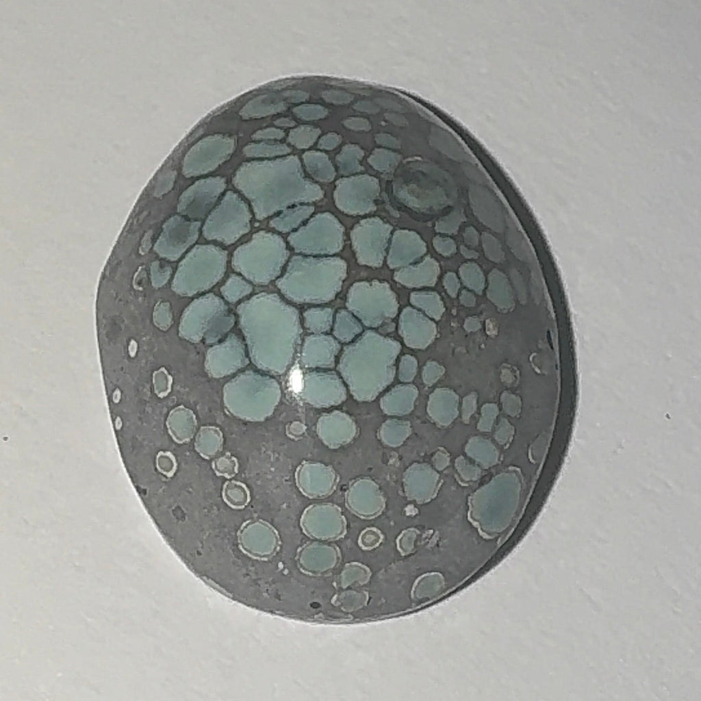 12ct Variscite bi valve pseudomorph