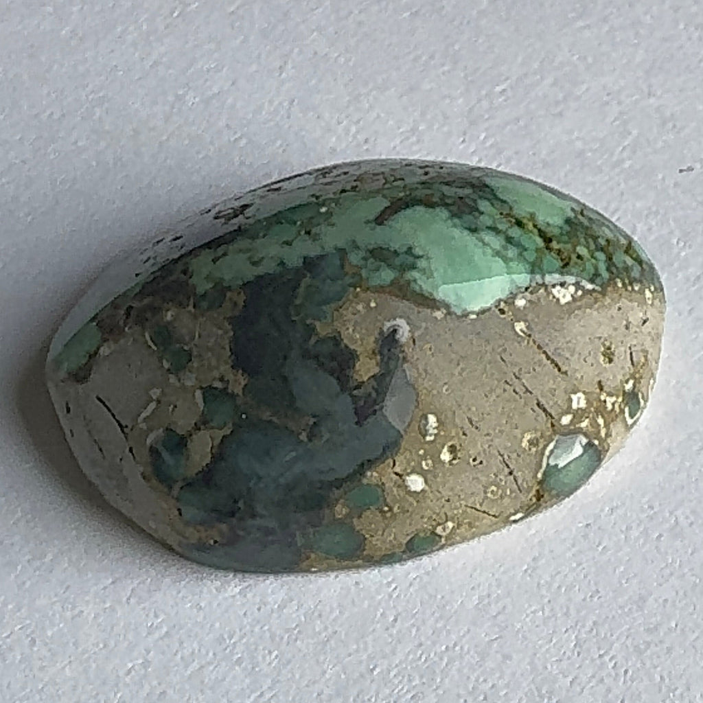 40ct Variscite bi valve pseudomorph