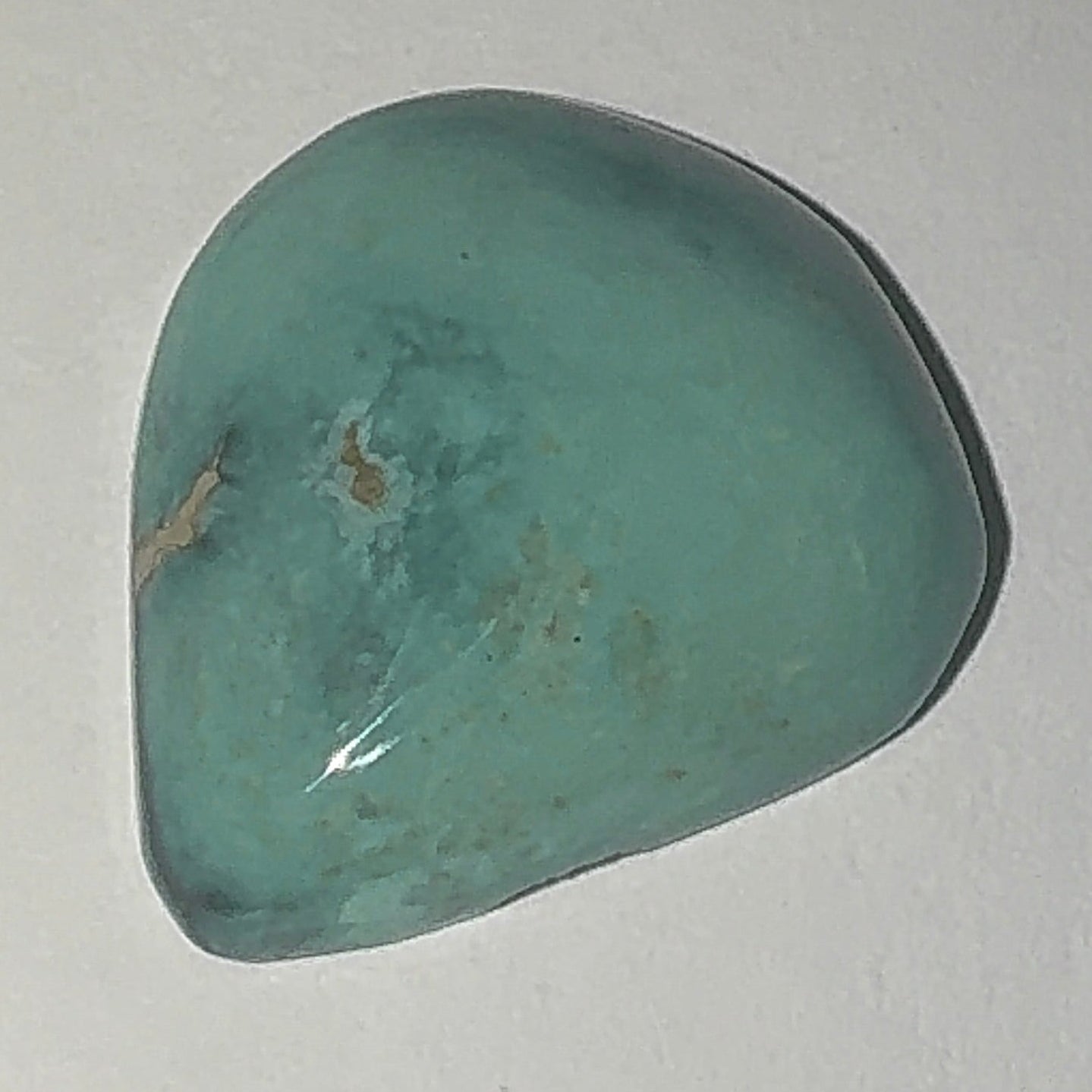 13ct Variscite bi valve pseudomorph