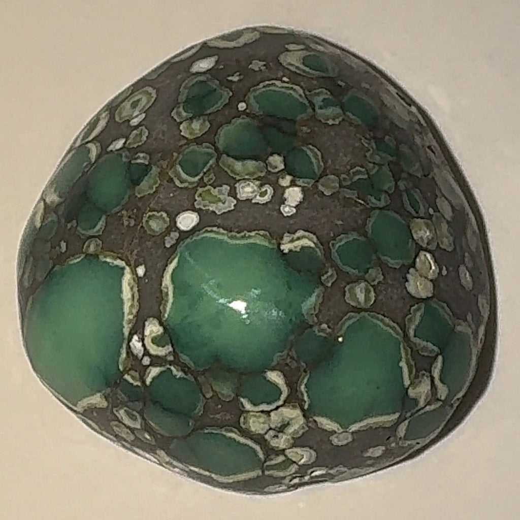 10ct Variscite bi valve pseudomorph