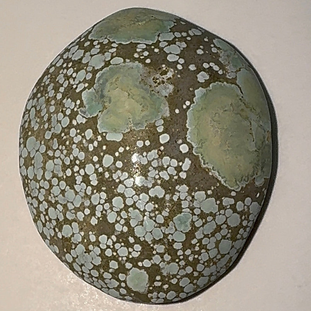 9ct Variscite bi valve pseudomorph