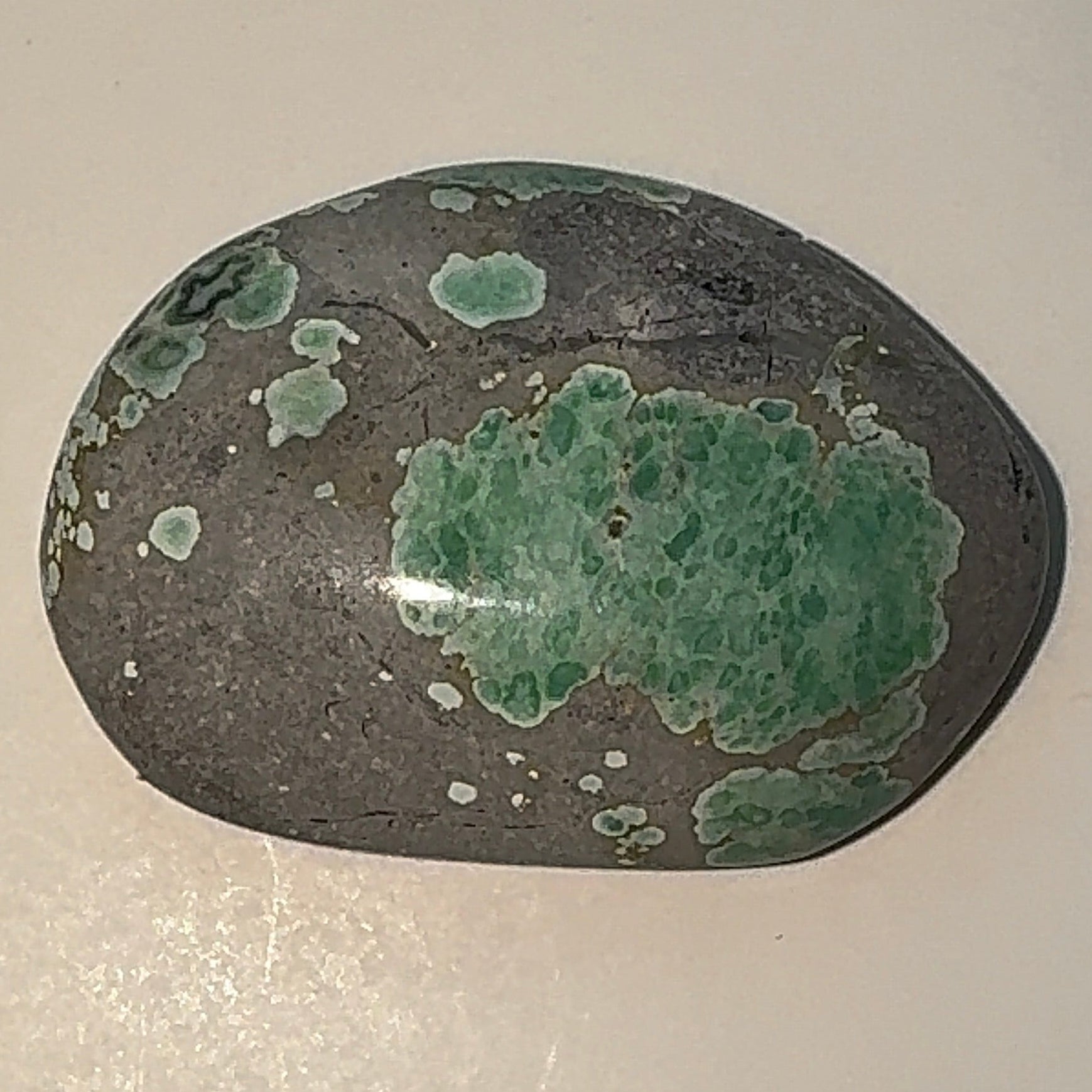 19ct Variscite bi valve pseudomorph