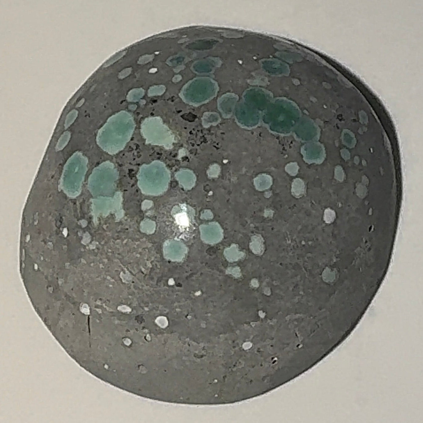 6ct Variscite bi valve pseudomorph