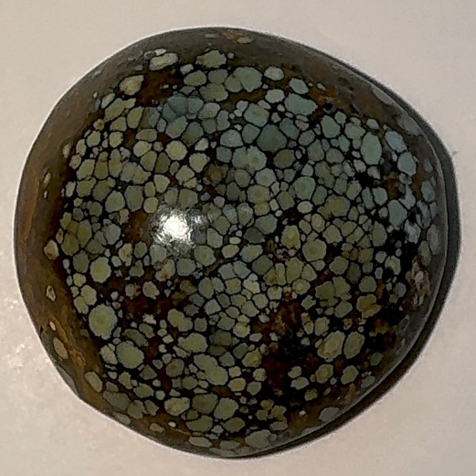 13ct Variscite bi valve pseudomorph