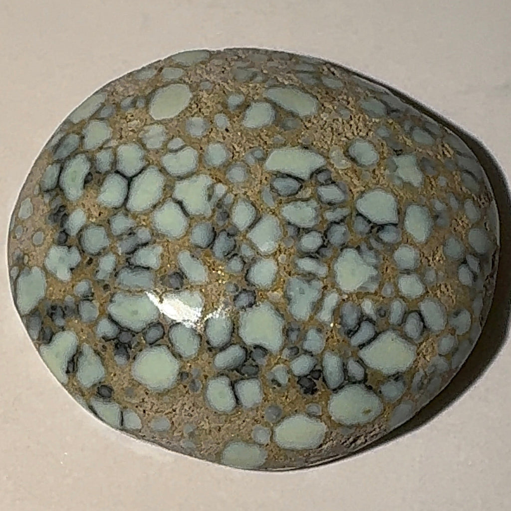 5ct Variscite bi valve pseudomorph