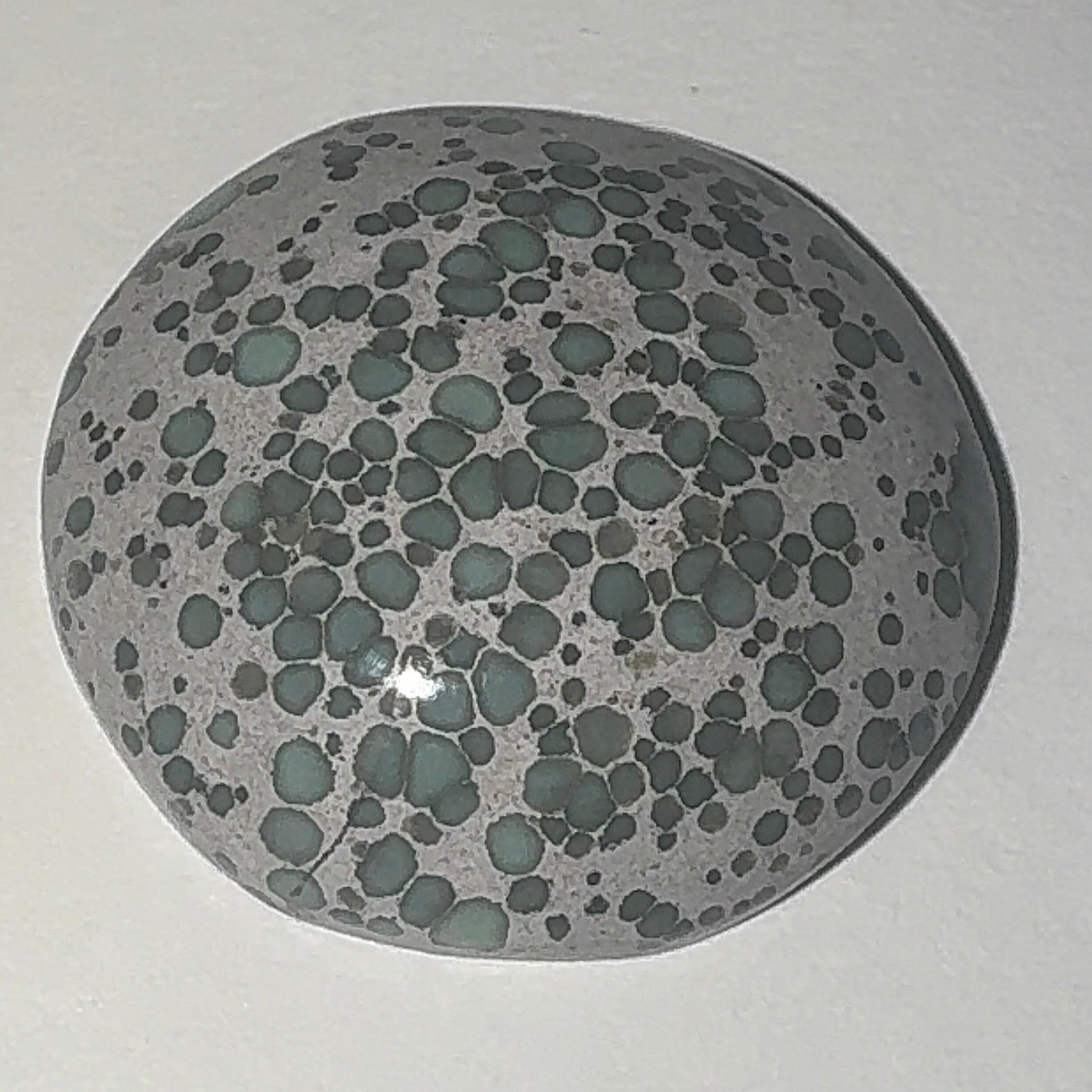 22ct Variscite bi valve pseudomorph