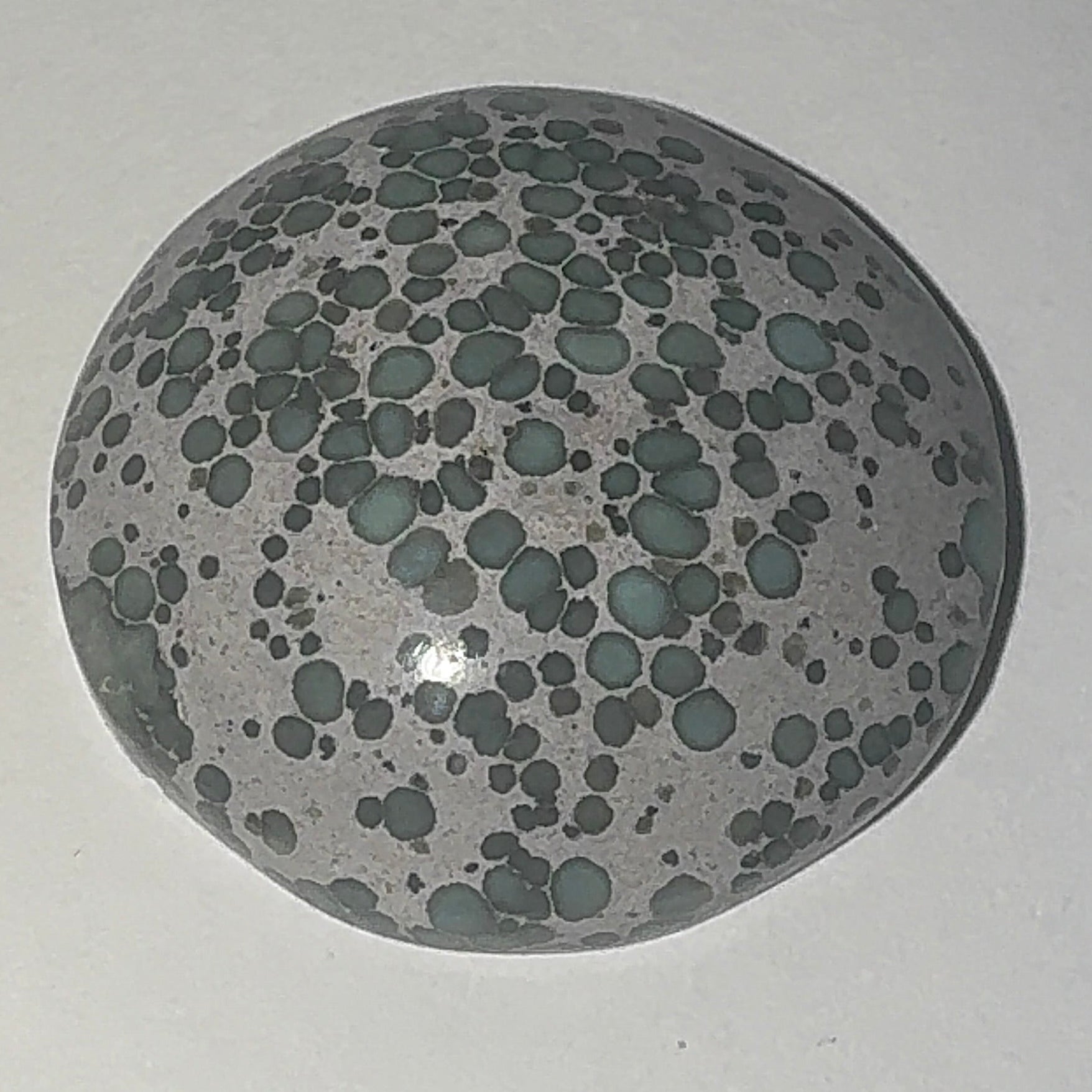 22ct Variscite bi valve pseudomorph