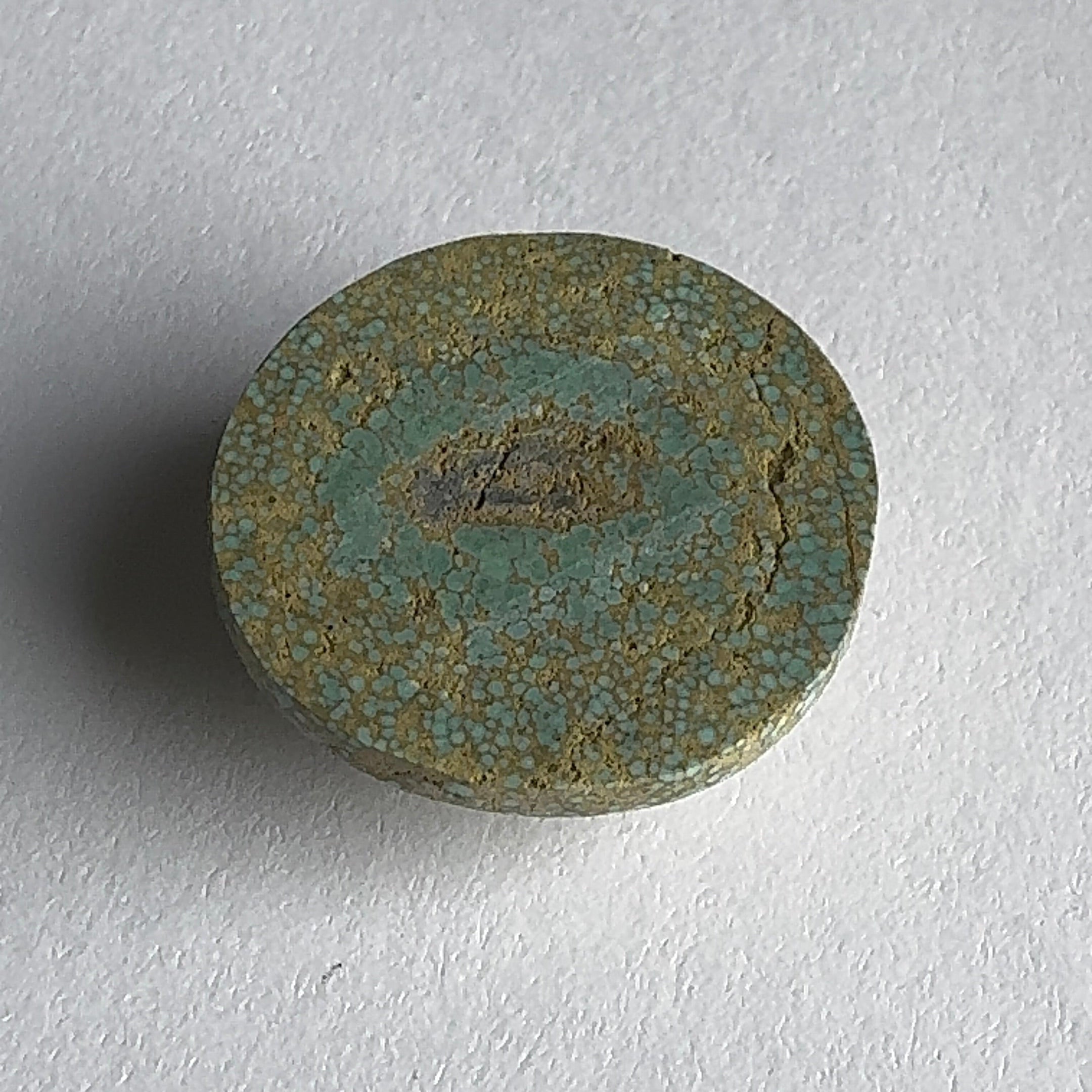 28ct Variscite bi valve pseudomorph