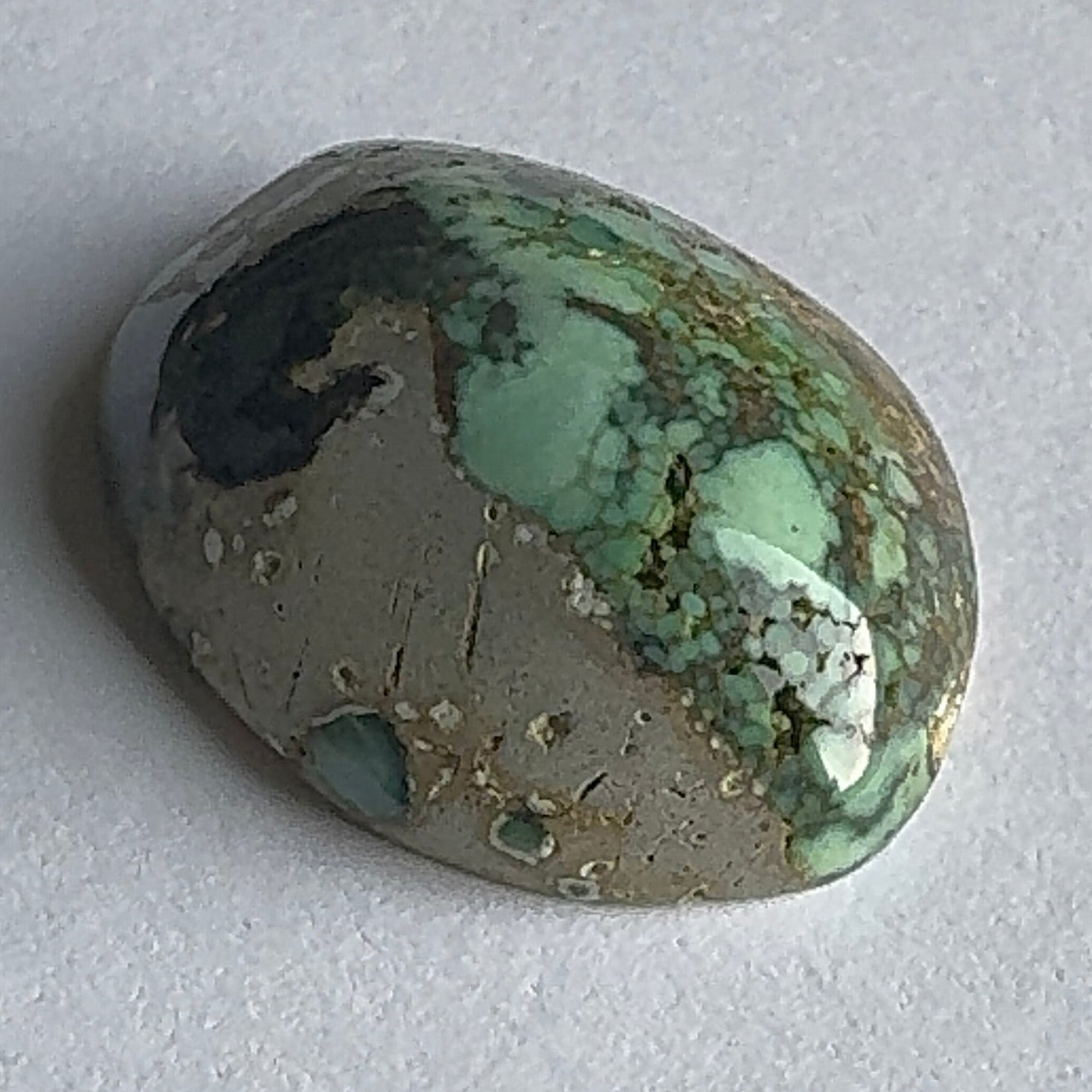 40ct Variscite bi valve pseudomorph