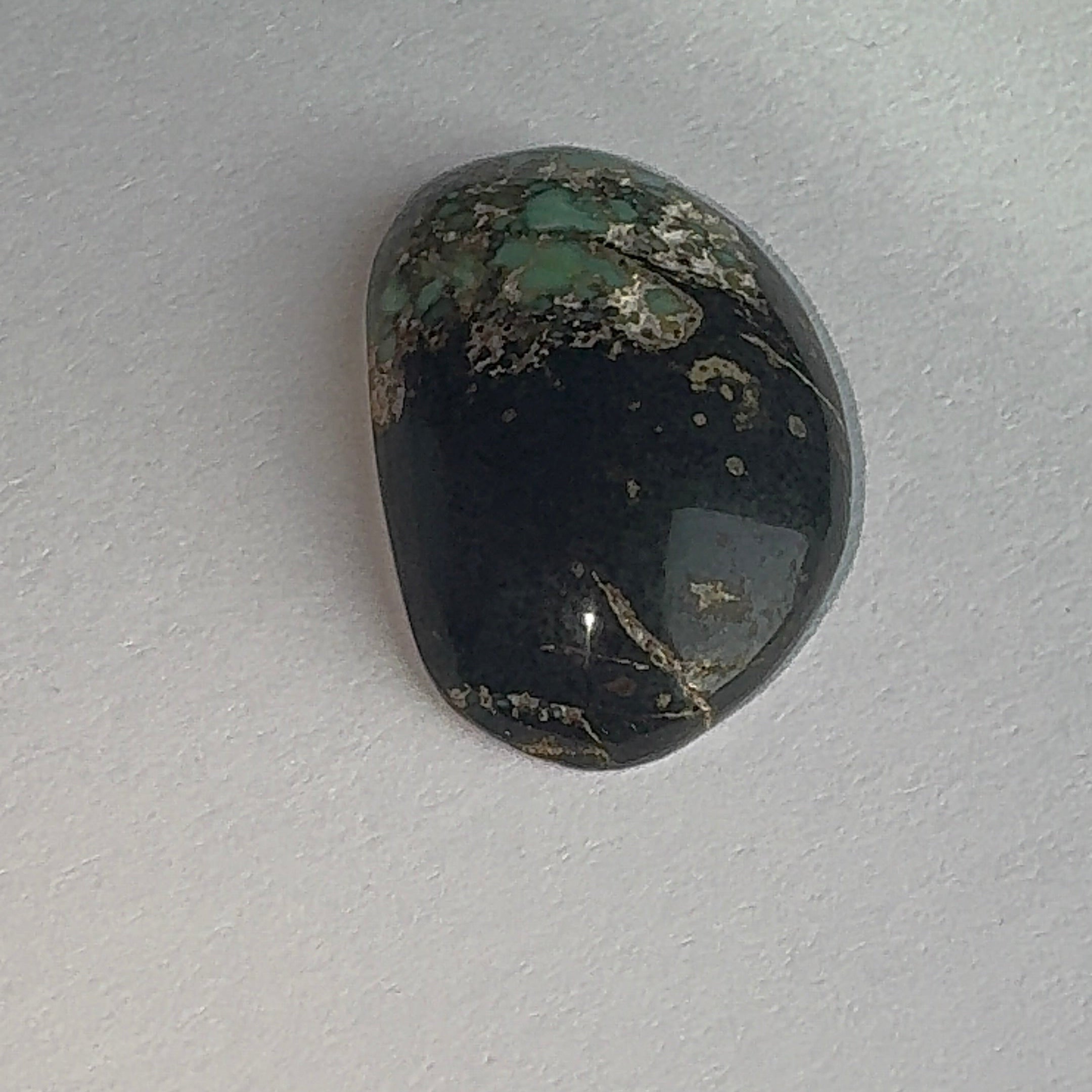 25ct Variscite bi valve pseudomorph