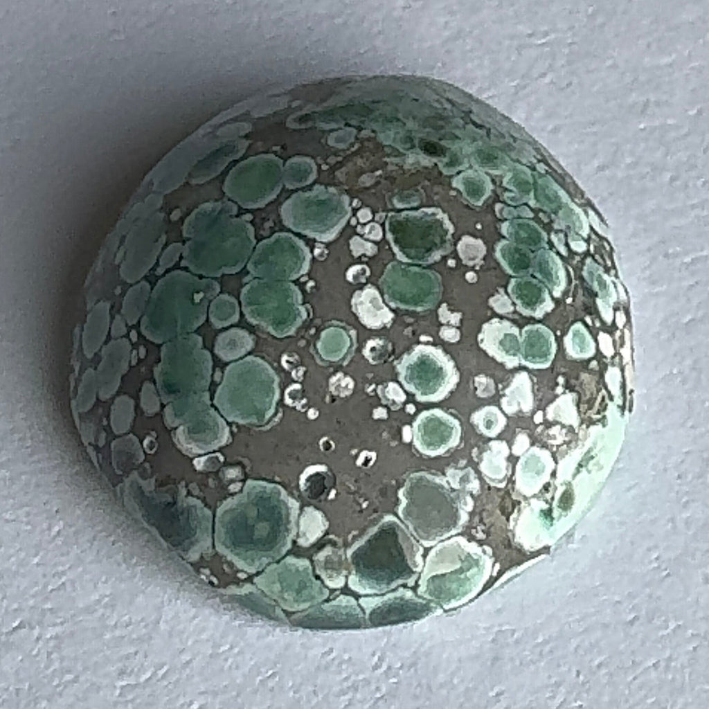 18ct Variscite bi valve pseudomorph
