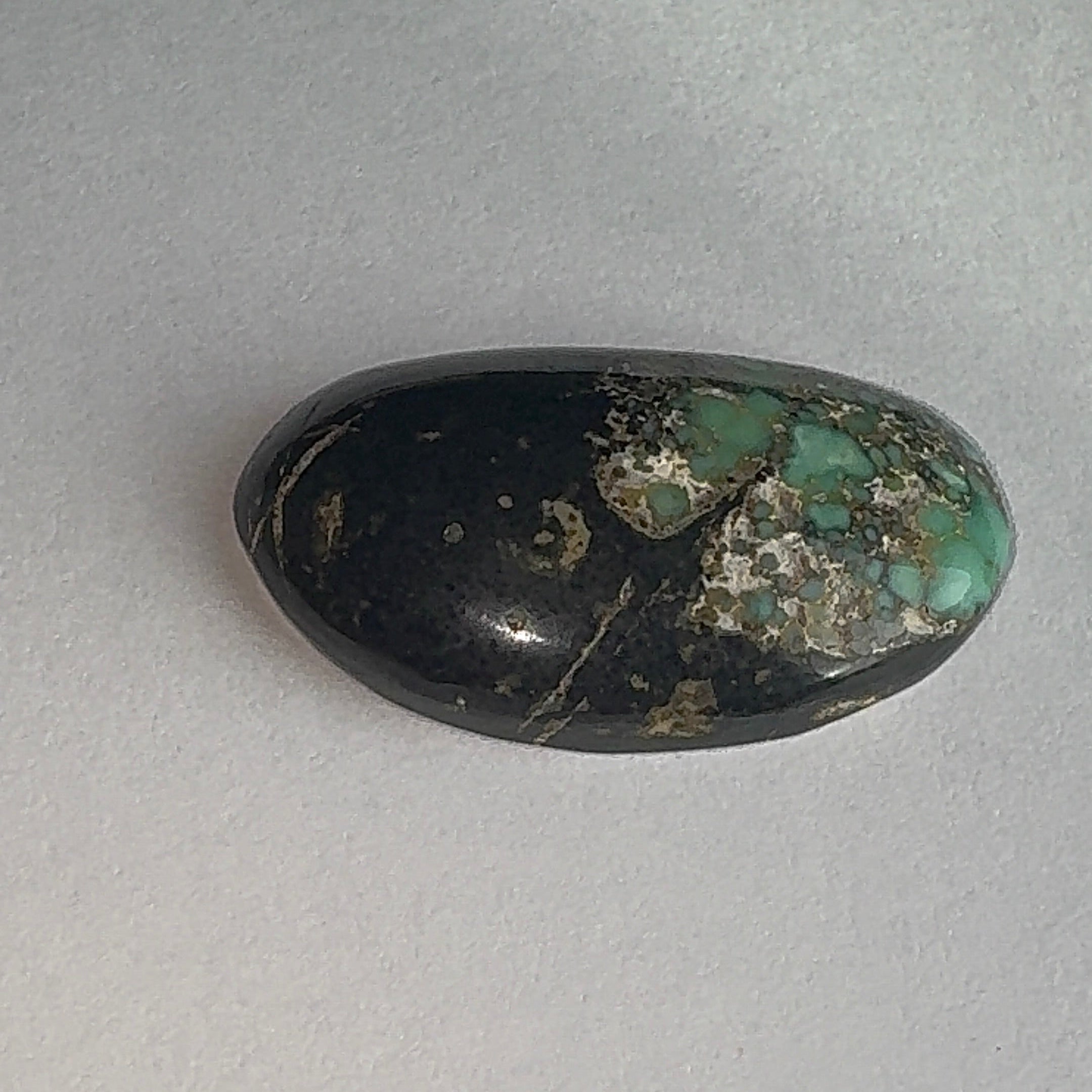 25ct Variscite bi valve pseudomorph