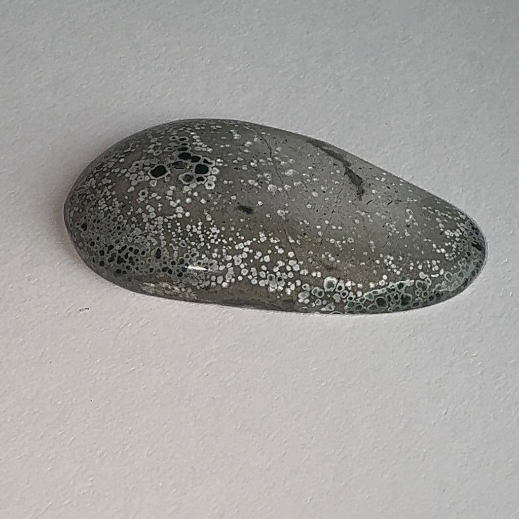 20ct Variscite bi valve pseudomorph