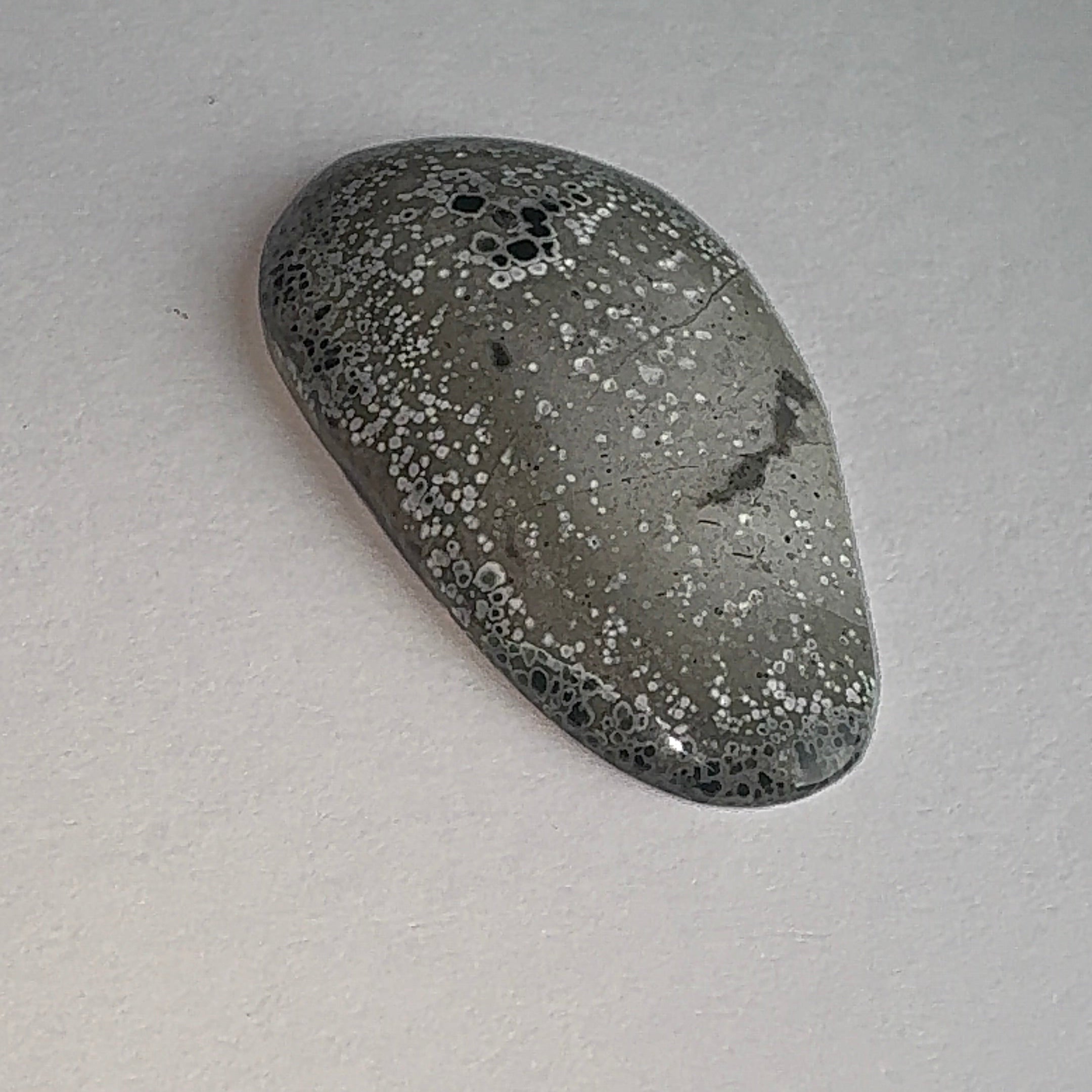 20ct Variscite bi valve pseudomorph