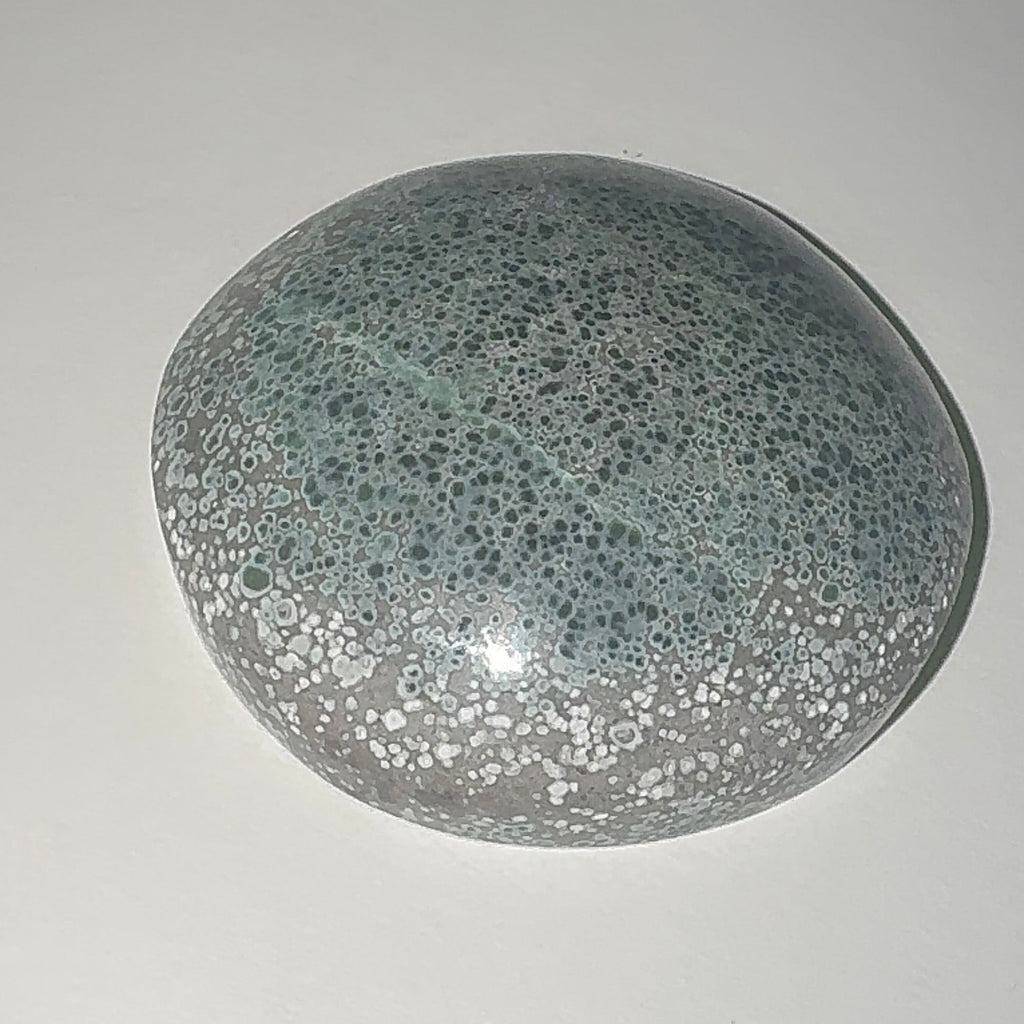 150ct Variscite bi valve pseudomorph