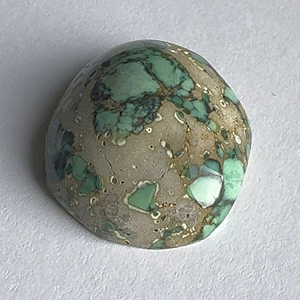 52ct Variscite bi valve pseudomorph