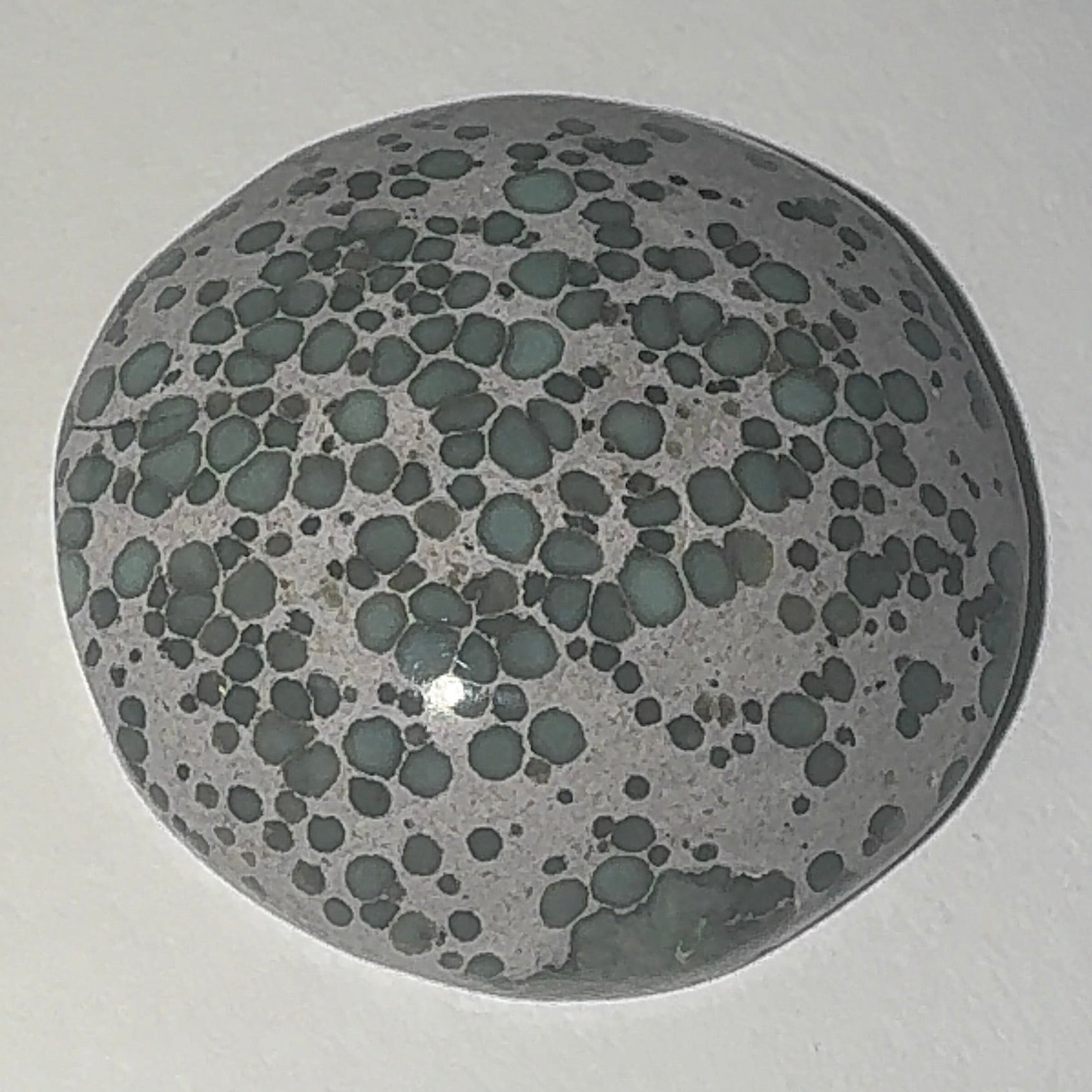 22ct Variscite bi valve pseudomorph