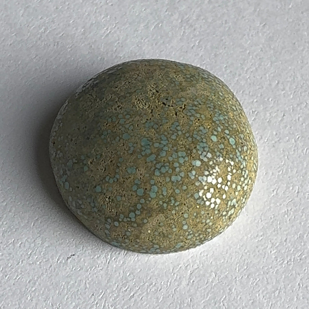 28ct Variscite bi valve pseudomorph