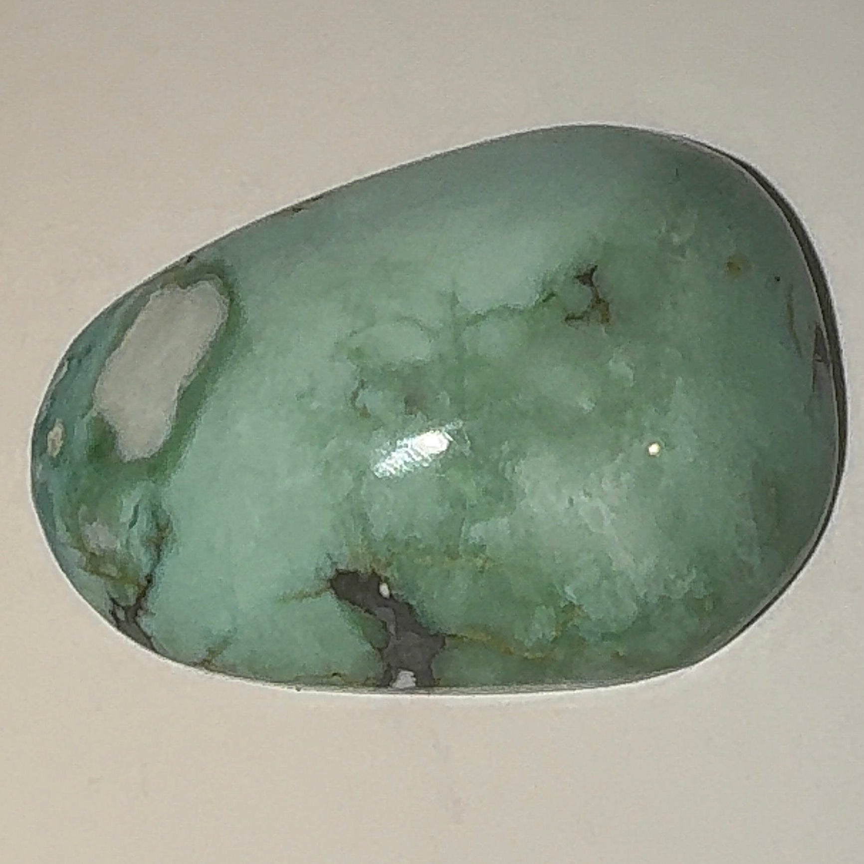 11ct Variscite bi valve pseudomorph