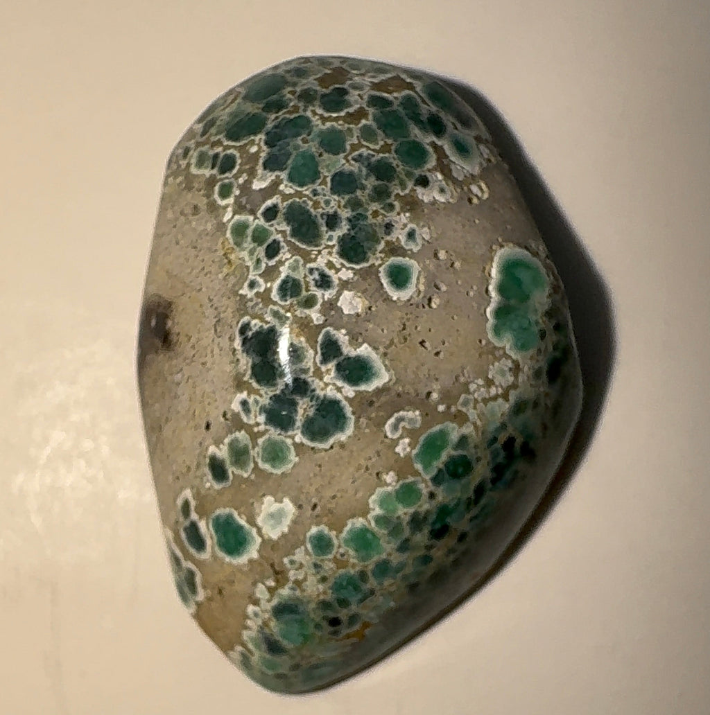 8ct Variscite bi valve pseudomorph