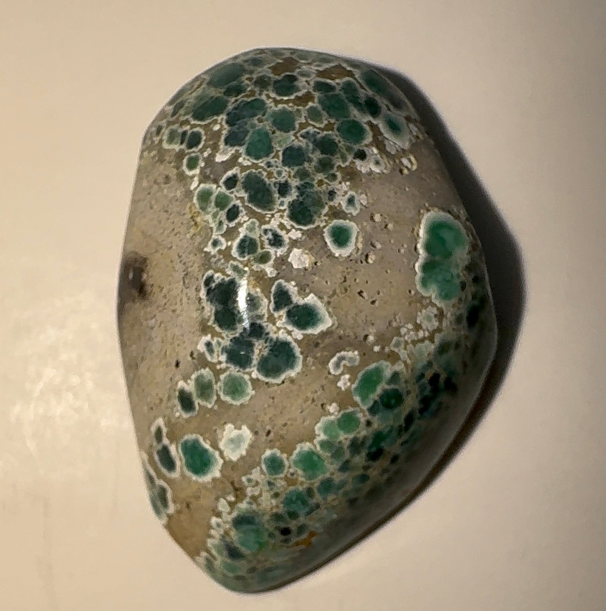 8ct Variscite bi valve pseudomorph