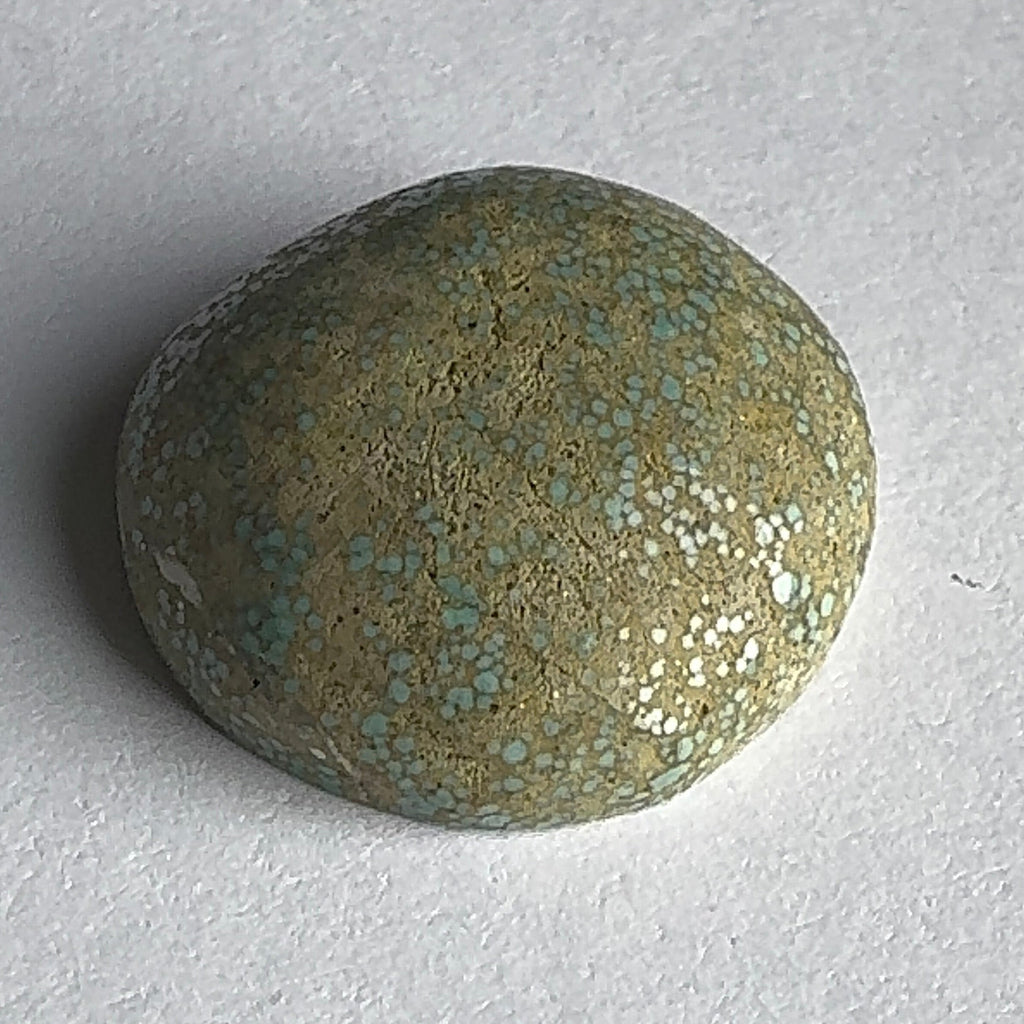 28ct Variscite bi valve pseudomorph